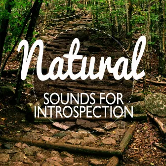 Nature Sounds for Introspection by Sleep Music with Nature Sounds Relaxation