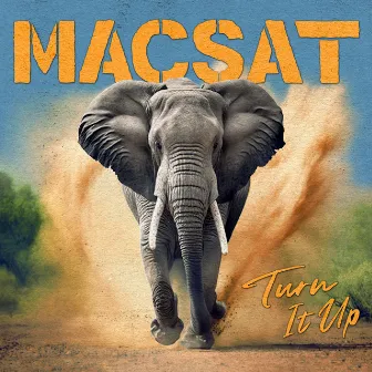 Turn It Up by Macsat