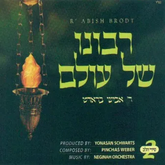 Ribono Shel Olam by Abish Brodt