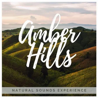 Amber Hills by Natural Sounds Experience