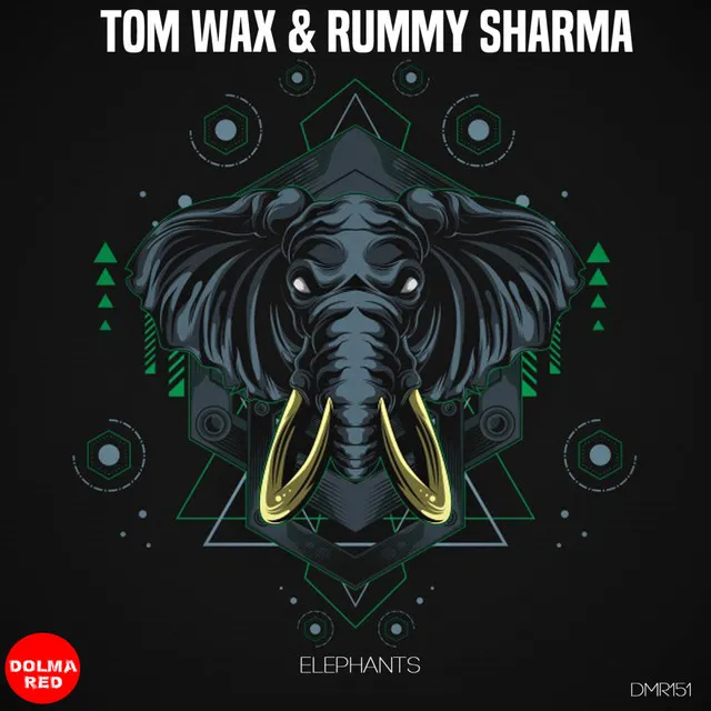 Elephants - Elephants Rummy Sharma Mix