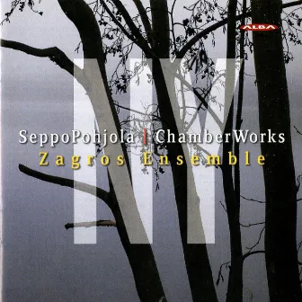 Seppo Pohjola: Chamber Works by Minttu Pesu