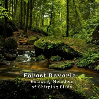 Forest Reverie: Relaxing Melodies of Chirping Birds by Relaxing Music for Stress Relief