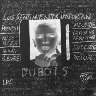 Los Sentimientos Importan by Dubois