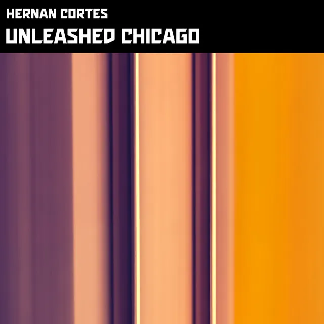 Unleashed Chicago