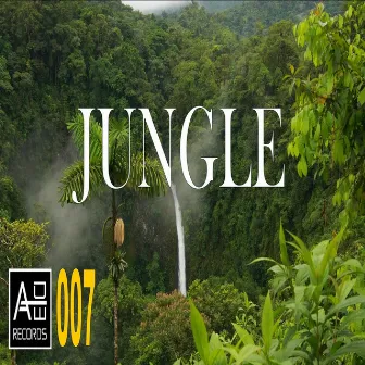 Jungle by OTR