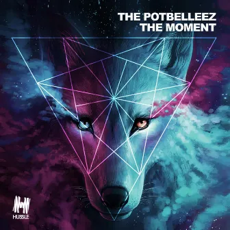 The Moment by The Potbelleez