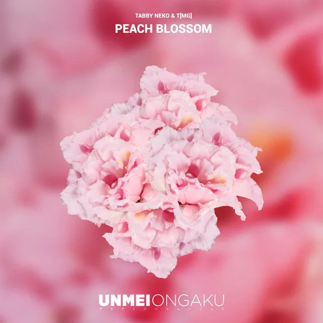 Peach Blossom