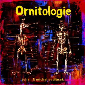 Ornitologie by Johan