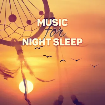 Music for Night Sleep - New Age for Relaxation Meditation, Serenity Lullabies with Relaxing Nature Sounds, Deep Sleep, Insomnia Therapy, Sleep Music, Relaxing Night by Better Sleep Oasis