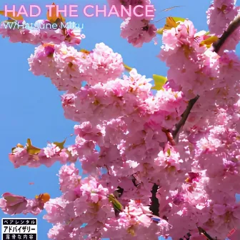 Had The Chance by Mr Nink