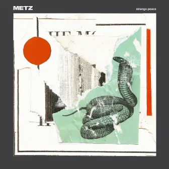 Strange Peace by Metz