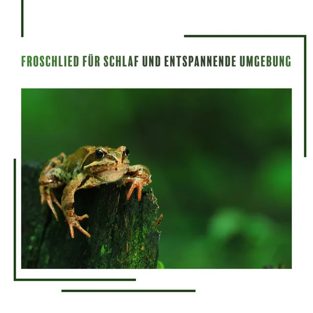 Froschgeräusche zum Schlafen