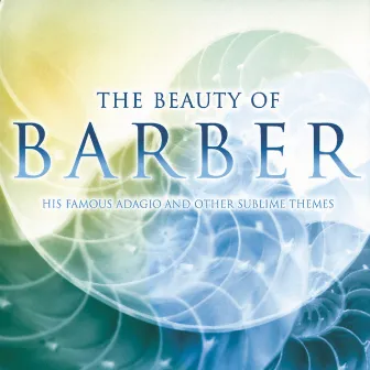 The Beauty Of Barber by Terry Edwards