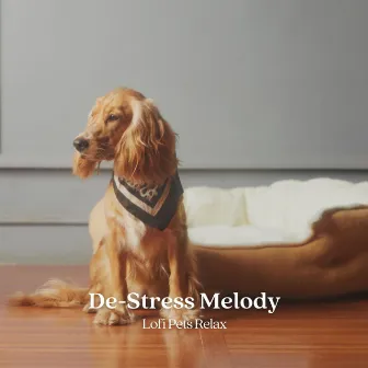 De-Stress Melody: Lofi Pets Relax by Relaxing Pet Music