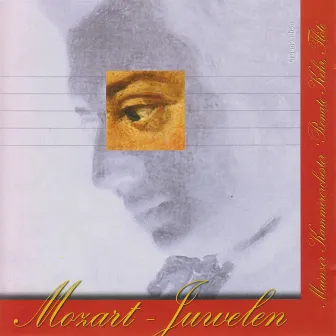 Mozart-Juwelen by William Jones