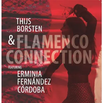 Flamenco Connection by Thijs Borsten