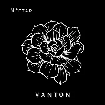 Néctar by Vanton