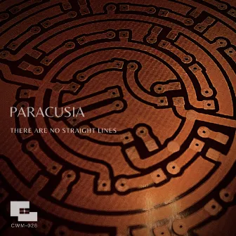 There are no straight lines by Paracusia