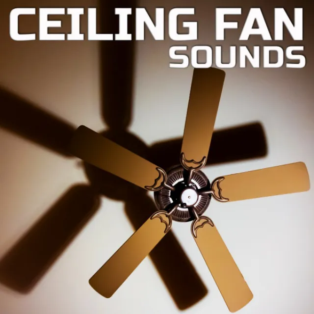 Ceiling Fan Sounds