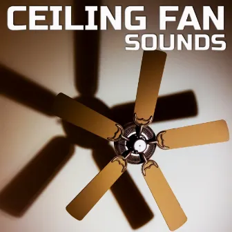 Ceiling Fan Sounds by Universal Soundscapes