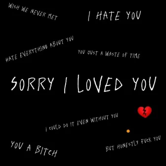 Sorry I loved you by lxstluv