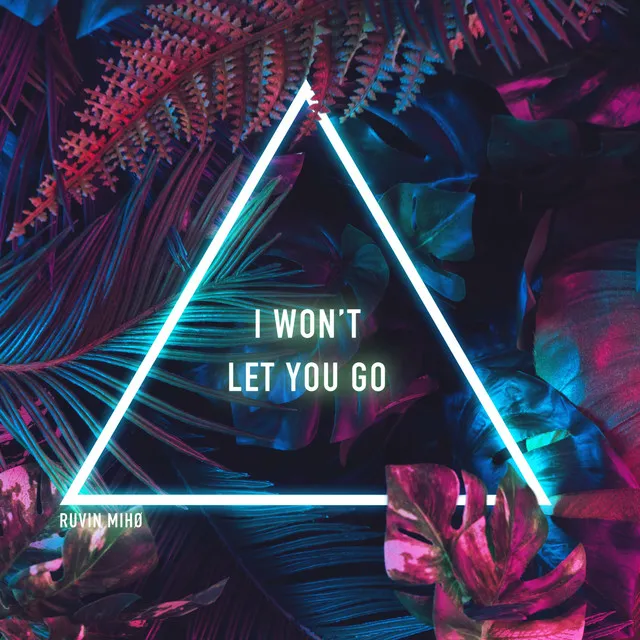 I won't let you go