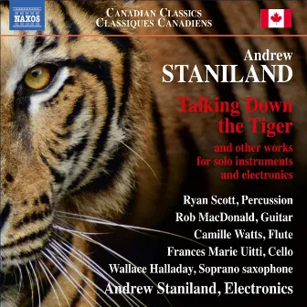 Andrew Staniland: Talking Down the Tiger by Andrew Staniland