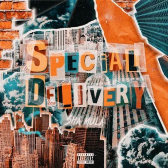 Special Delivery by Sha Mula