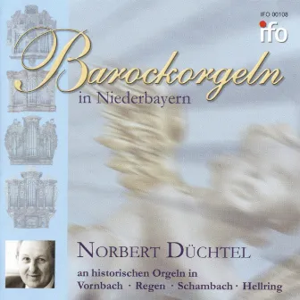 Barockorgeln in Niederbayern (Historische Orgeln in Vornbach, Regen, Schambach und Hellring) by Norbert Duchtel