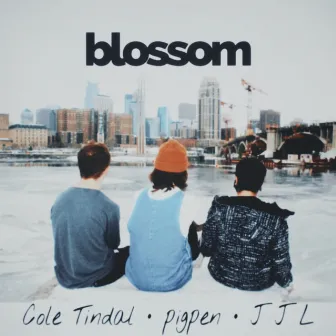 blossom by Cole Tindal