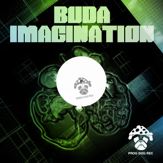 Imagination by Buda