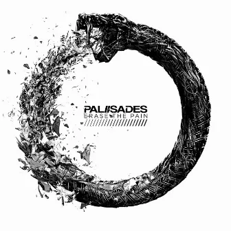 Erase The Pain by Palisades