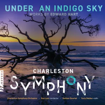 A Charleston Concerto: III. Tomorrow by Ken Lam