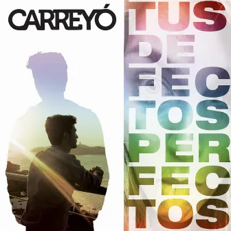 Tus Defectos Perfectos by Carreyó