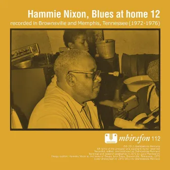 Blues At Home 12 by Hammie Nixon