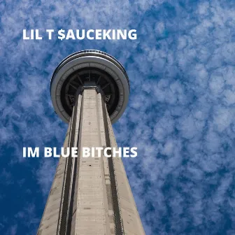 Im Blue Bitches by Lil T $auceking