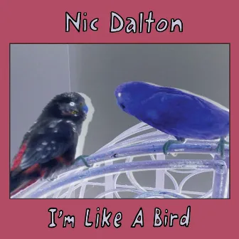 I'm Like a Bird by Nic Dalton