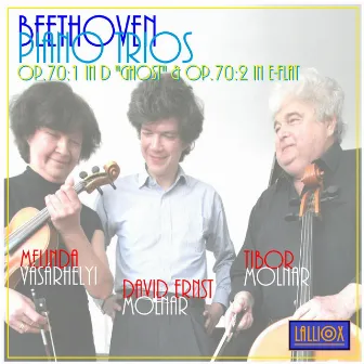 Beethoven Piano Trios Op. 70 by David Ernst Molnar