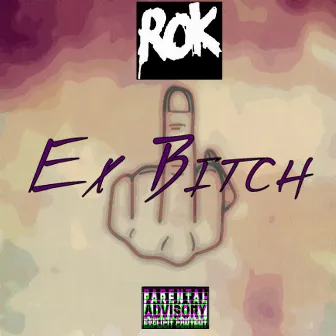 Ex Bitch by Rok