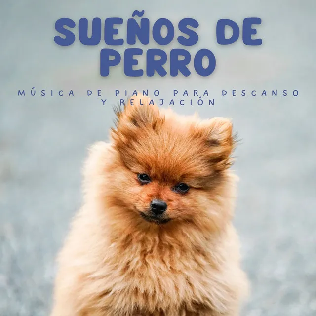 Sueños De Perro: Música De Piano Para Descanso Y Relajación