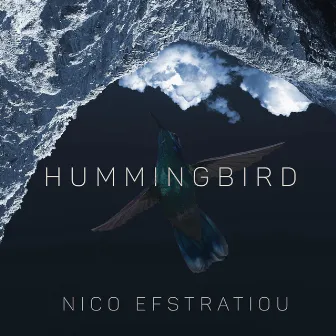 Hummingbird by Nico Efstratiou