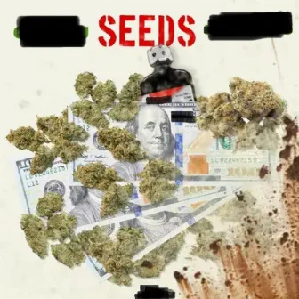 Seeds by O.F.F BJ