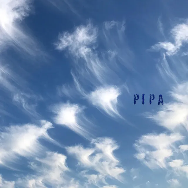 Pipa