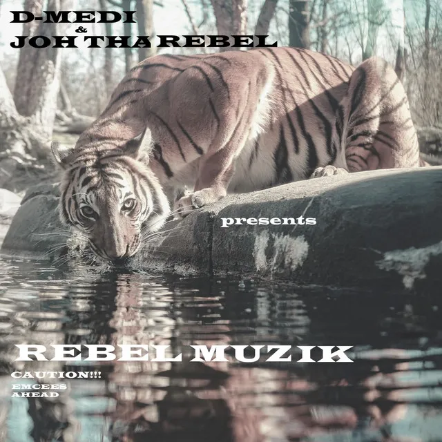 Rebel Muzik