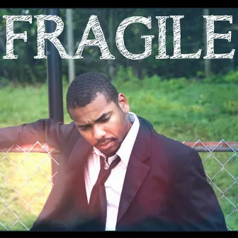 Fragile by Adrian Dent