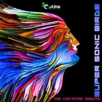 The Cheyenne Indians by Supersonic Birds