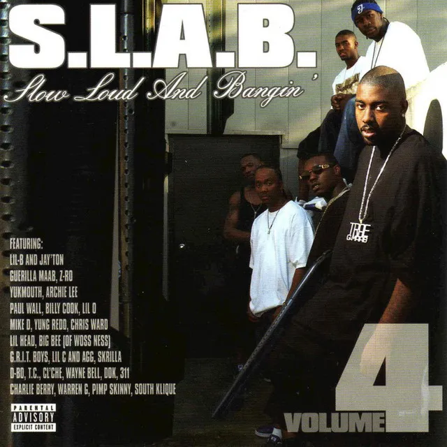 Niggas in the Game - S.L.A.B.ed