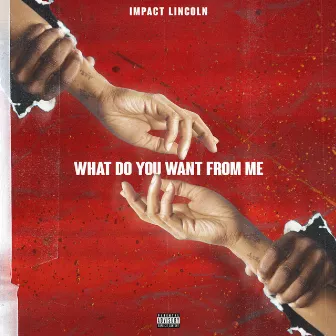 What Do You Want from Me by Impact Lincoln