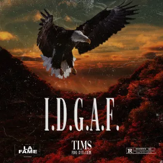 I.D.G.A.F. by Tims